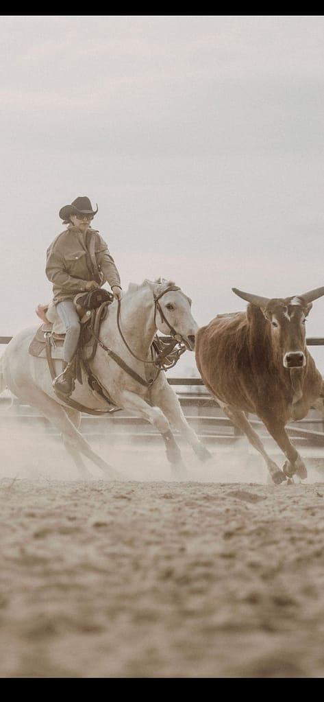 Western-Reiterin beim Reittraining auf der Six Tower Ranch, Pferd treibt ein Longhorn im staubigen Roundpen