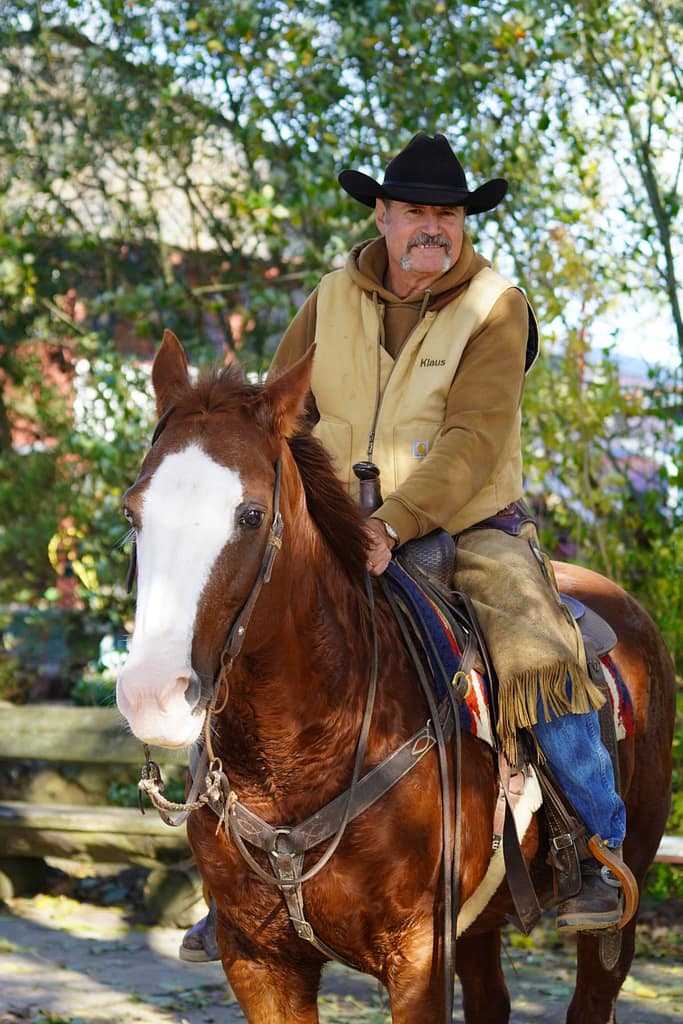 Western-Reiter mit Cowboy-Hut auf braunem Pferd, authentisches Ranch-Portrait im natürlichen Licht